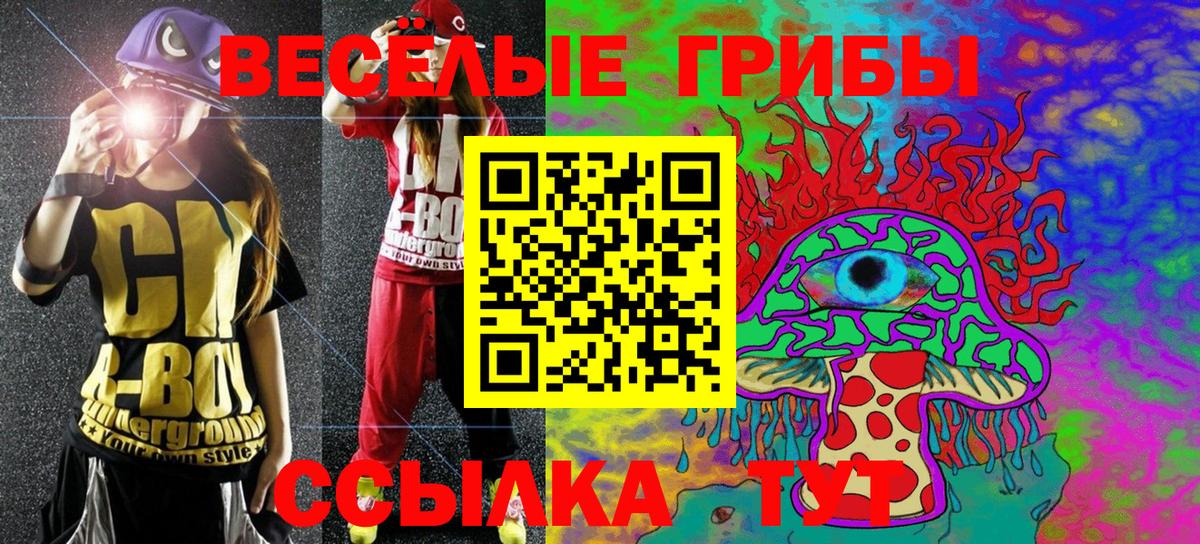 Галлюциногенные грибы MAGIC MUSHROOMS  Вход с VPN  Ефремов  Псилоцибиновые грибы Psilocybe 